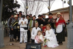 carnevale_2009_11_20110414_2014660057