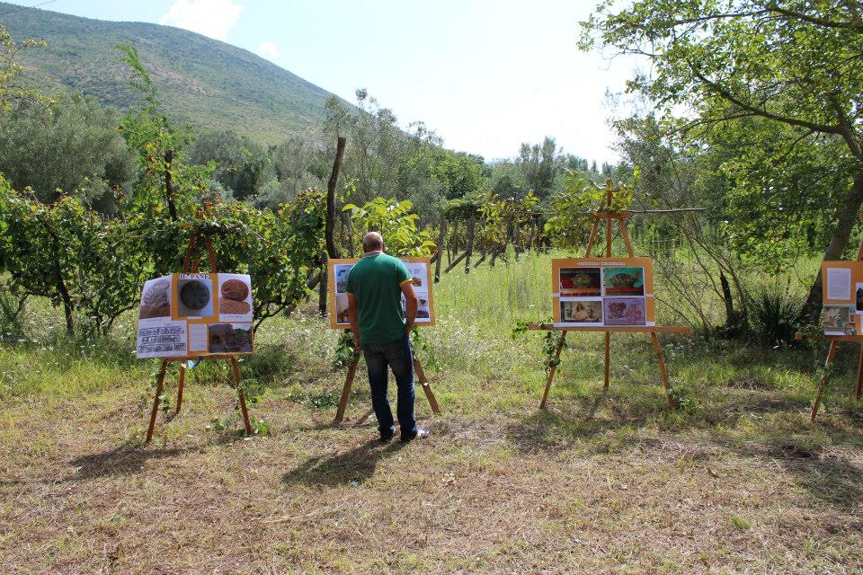 mostra in campagna