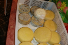 olio_di_casa_mia_2011_7_20110414_1898243759