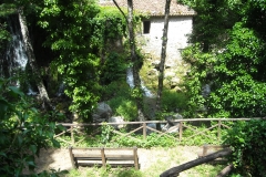 DSCN0267